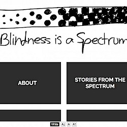 Blindness is a Spectrum